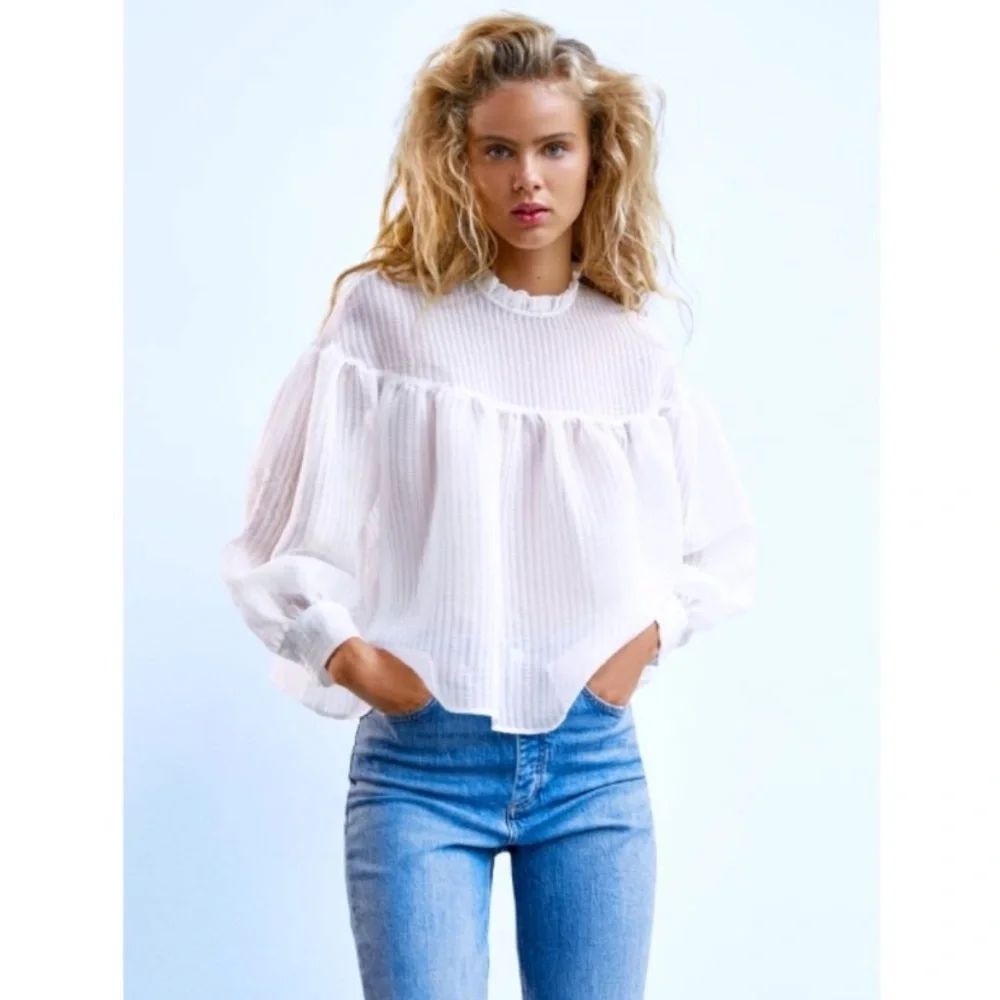 Zara Striped Ruffle Neck Organza Blouse